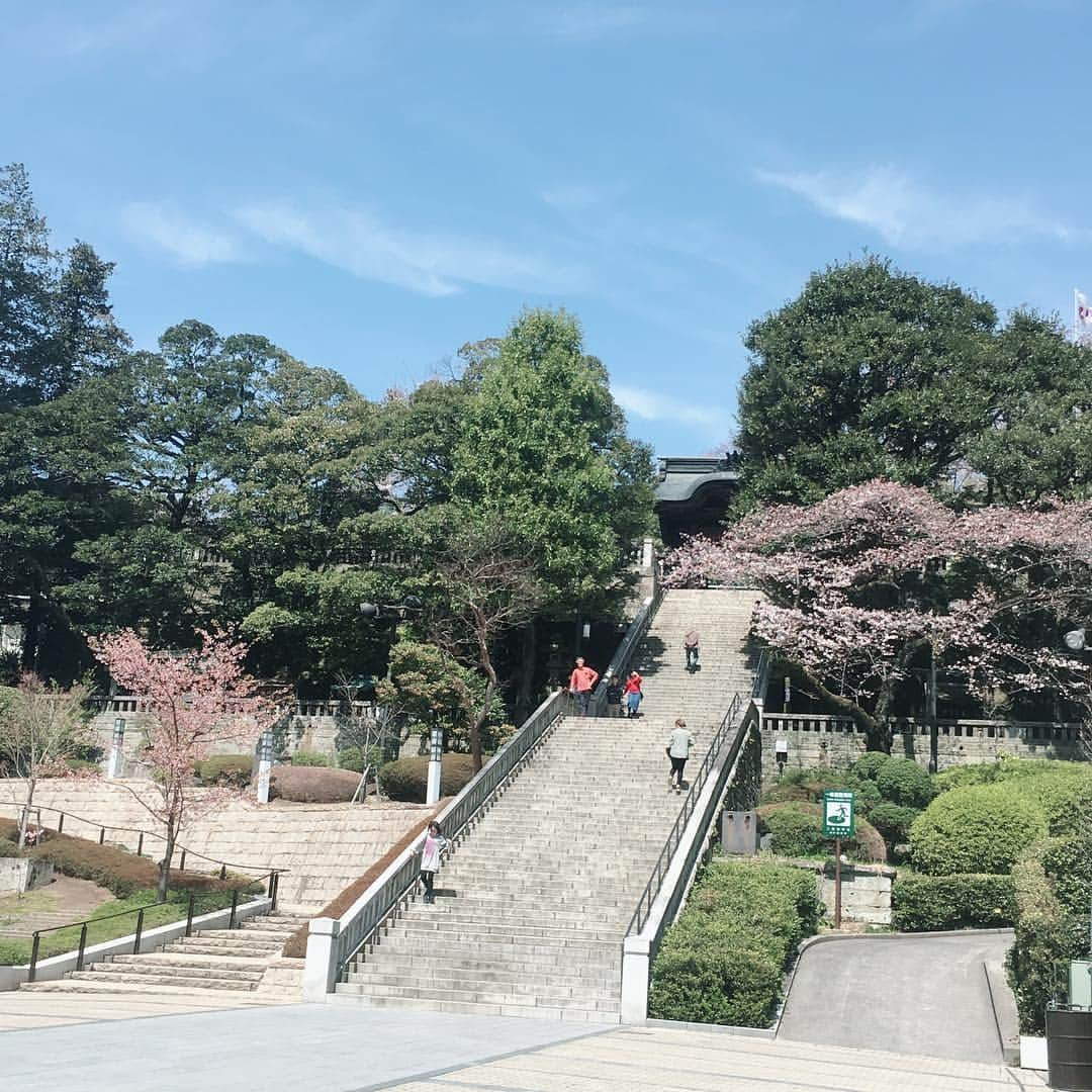 佐藤美樹さんのインスタグラム写真 - (佐藤美樹Instagram)「2019桜🌸〜栃木編〜  #かまがわ川床桜まつり  #八幡山公園  #宇都宮二荒山神社  #桜 #お花見 #栃木 #ぶらり  #東京と京都編もあるよ」4月6日 12時12分 - satomiki0224