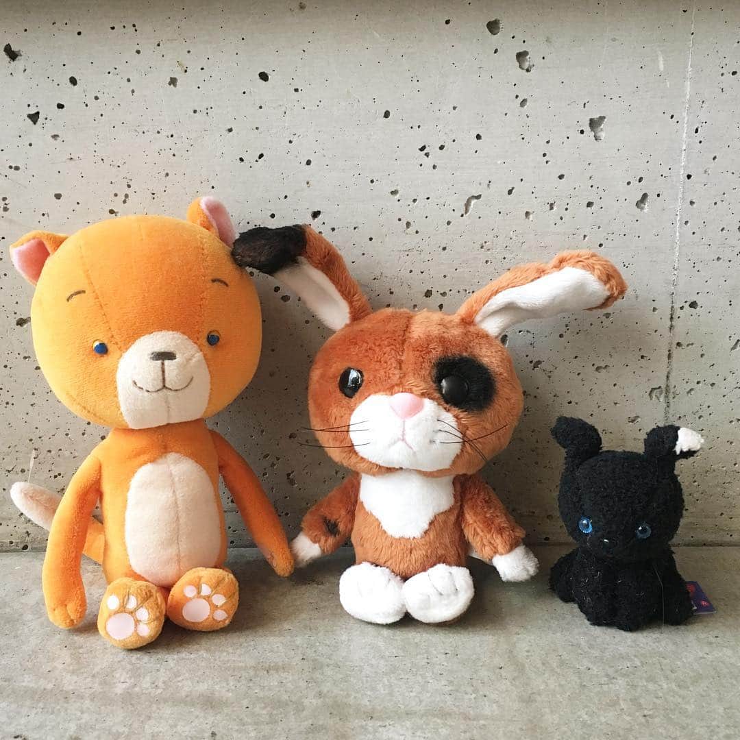 合田経郎のインスタグラム：「チェリーさん届いてた。いえーい。 #ちえりとチェリー」