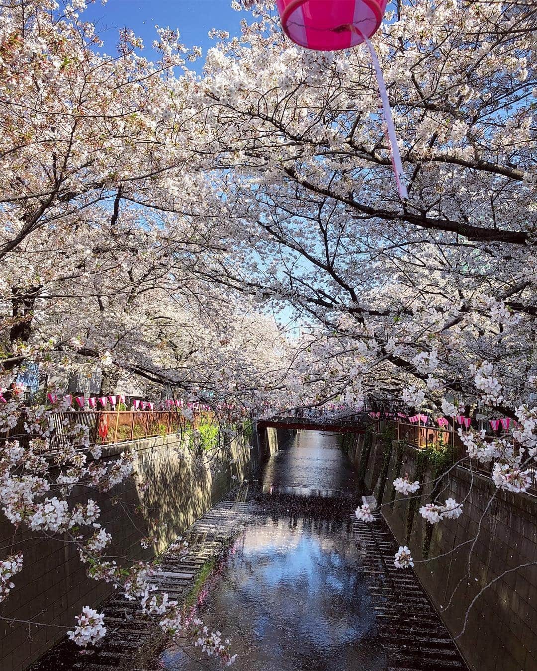 雨宮みずきのインスタグラム