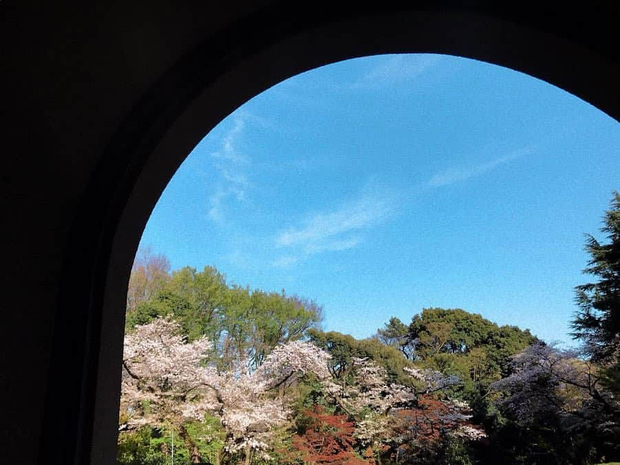 菅野結以さんのインスタグラム写真 - (菅野結以Instagram)「岡上淑子 沈黙の奇蹟展﻿ 舞い散る桜とアールデコ邸宅と幻想退廃美﻿ 三位一体極まってた  ペールピンクの溜息﻿ ﻿ #岡山淑子 #庭園美術館 7日まで🕊﻿ #collage #art #museum」4月6日 12時47分 - yui_kanno