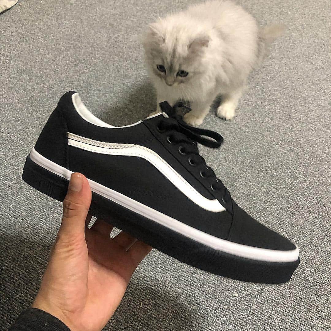 まういのインスタグラム：「通勤用にスーツに合うかなと、久々のvans。黒ソールかっこウィ  #スニーカー  #オールドスクール #oldskool #popfoxing」