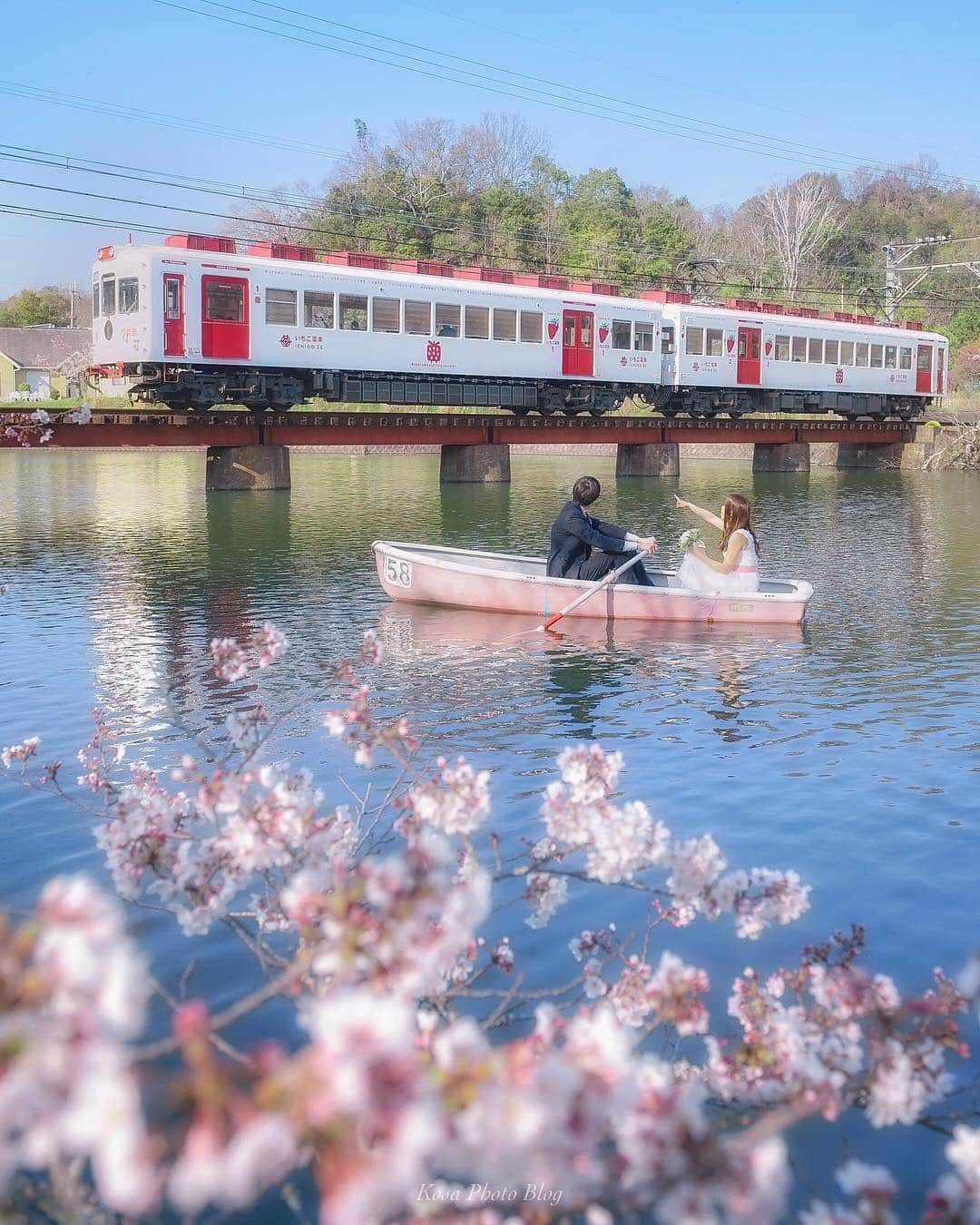 コサさんのインスタグラム写真 - (コサInstagram)「いつか撮ってみたいとイメージしてたの撮れました📸 ボートが初めてとは思えない巧みなコントロールで指示した位置にビタ止め😳 タイミングよく来てくれたいちご電車にも感謝🙏 . Location:和歌山 Wakayama/Japan Data:2019.4.4 Model: @yy.o_o . #art_of_japan_ #tokyocameraclub #dpj_member #team_jp_ #IG_PHOS #photo_jpn #ptk_japan #pt_life_ #bestjapanpics #Lovers_Nippon #LBJ_桜2019 #as_桜2019 #team_jp_春色2019 #bestjapanpics_桜2019一部 #花びら大回転2019 #light_nikon #japan_great_view #IGersJP #Japan_Daytime_View #グッドトリップ和歌山 #はなまっぷ #LBJ_members #sorakataphoto #nipponpic_member #ip_connect #japan_of_insta #s_shot #桜旅のセカイ #insta_wakayama #nipponpic_anniversary2019」4月6日 12時52分 - kosa_photo
