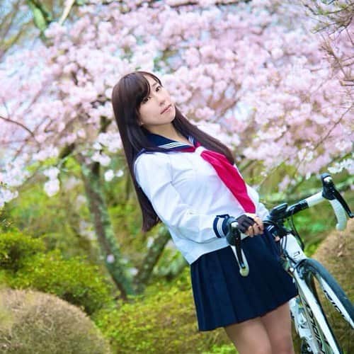 林檎蜜紀さんのインスタグラム写真 - (林檎蜜紀Instagram)「The cherry blossoms have fully bloomed.🌸🌸 今日から三重に出張です🚅 明日はゲストライダーとして走りますっ🥰  #followalways #フォローミー #いいねした人で気になった人フォロー  #bikegirl #kawii #Japanesestyle #me #prettygirlsonbike #sexyandbicycle #fixiegirls #cyclist #cyclingphotos #beautyofcycling #lovesport #ロードバイク女子 #桜 #cherryblossom  #ソメイヨシノ #箱根  #asiangirls  #asianbeauty」4月6日 13時05分 - ringo_mitsuki