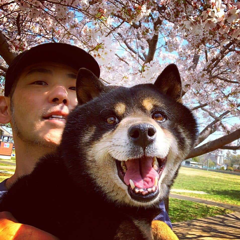 木山裕策さんのインスタグラム写真 - (木山裕策Instagram)「結局、2時間も散歩しちゃいました。 カントもうれしそうな顔してますね😼」4月6日 14時01分 - kiyamayusaku