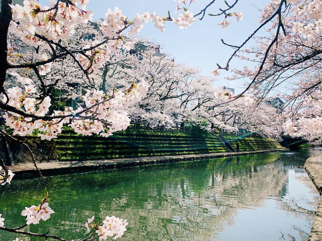 奈津美さんのインスタグラム写真 - (奈津美Instagram)「⌘ TOYAMA de SAKURA . ただただ、気持ちいい日。 今週は頭空っぽにして 自分の気持ちを大切に... 思うがままに動く 🌸 ⌘ #sakura #cherryblossoms #spring #japan #日本は美しい #お花見 #春が来た #思うがままの旅 #自分の気持ちと向き合う #そんな旅 #原田奈津美」4月6日 14時04分 - natsumi_7.2.3
