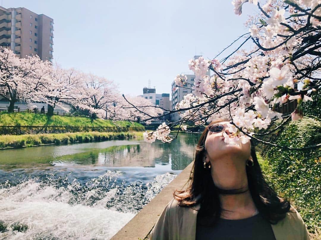 奈津美さんのインスタグラム写真 - (奈津美Instagram)「⌘ TOYAMA de SAKURA . ただただ、気持ちいい日。 今週は頭空っぽにして 自分の気持ちを大切に... 思うがままに動く 🌸 ⌘ #sakura #cherryblossoms #spring #japan #日本は美しい #お花見 #春が来た #思うがままの旅 #自分の気持ちと向き合う #そんな旅 #原田奈津美」4月6日 14時04分 - natsumi_7.2.3