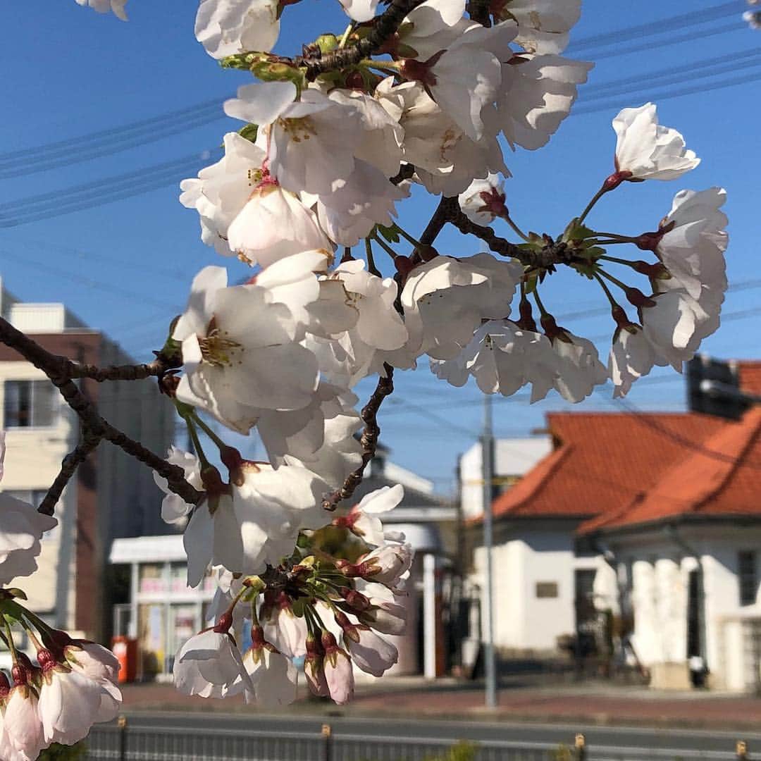 ダンデライオン・チョコレート・ジャパンのグルメインスタ