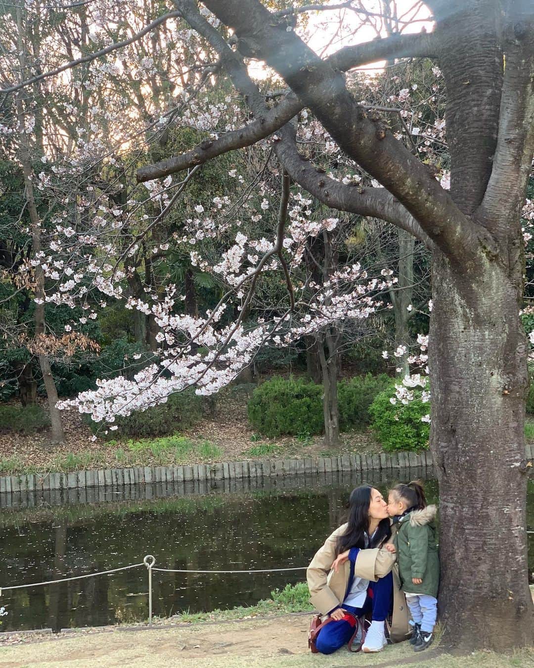 陳冠希さんのインスタグラム写真 - (陳冠希Instagram)「UNDER THE SAKURA TREE 👨‍👩‍👧」4月6日 14時11分 - edisonchen