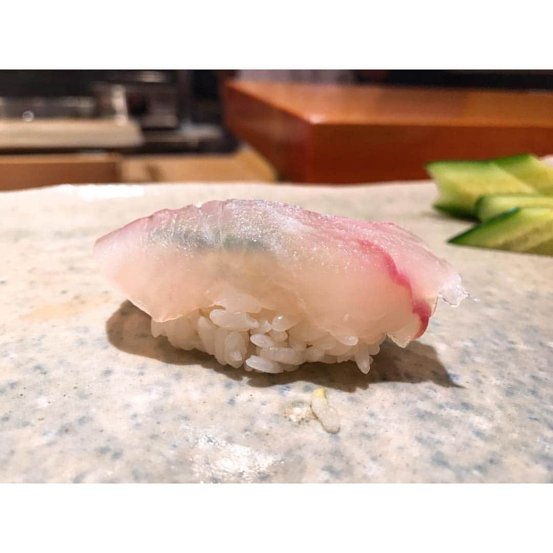 水瀬きいさんのインスタグラム写真 - (水瀬きいInstagram)「⋆* はぁん。らぶいすぎる🥺💓💓💓 . ※シャリは特デカでお願いしてます . #おしゅし破産します  #🍣#鮨#天寿し#小倉グルメ#福岡グルメ#北九州グルメ#foodie#foodporn」4月6日 14時12分 - kiiiiiiiiiiiiiiiiiiiii