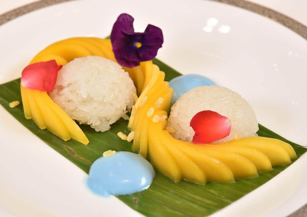 タイ航空さんのインスタグラム写真 - (タイ航空Instagram)「Enjoy the merriment of Thai New Year with THAI's special onbaord desserts for this year's Songkran Festival. Only available on 13 - 15 April 2019. . Domestic Flights (except flight TG226 Phuket - Bangkok) 💦Royal Silk Class: (flights to Bangkok) Pumpkin Coconut Pudding / (flights from Bangkok) Mango Sticky Rice with Cake 💦Economy Class: Crispy Jelly . International Flights (except some flights to the Middle East, India, and Kuala Lumpur) 💦Royal First Class: Fresh Mango and Sticky Rice with Anchan Coconut Sauce 💦Royal Silk Class: Mango and Sago Pudding with Coconut and Fresh Mango 💦Premium Economy and Economy Classes: Pandan Sticky Rice with Mango Mousse and Coconut Cream . #ThaiAirways #InflightDesserts #OnboardDesserts #Songkran #SongkranFestival #RoyalOrchidService」4月6日 14時14分 - thaiairways