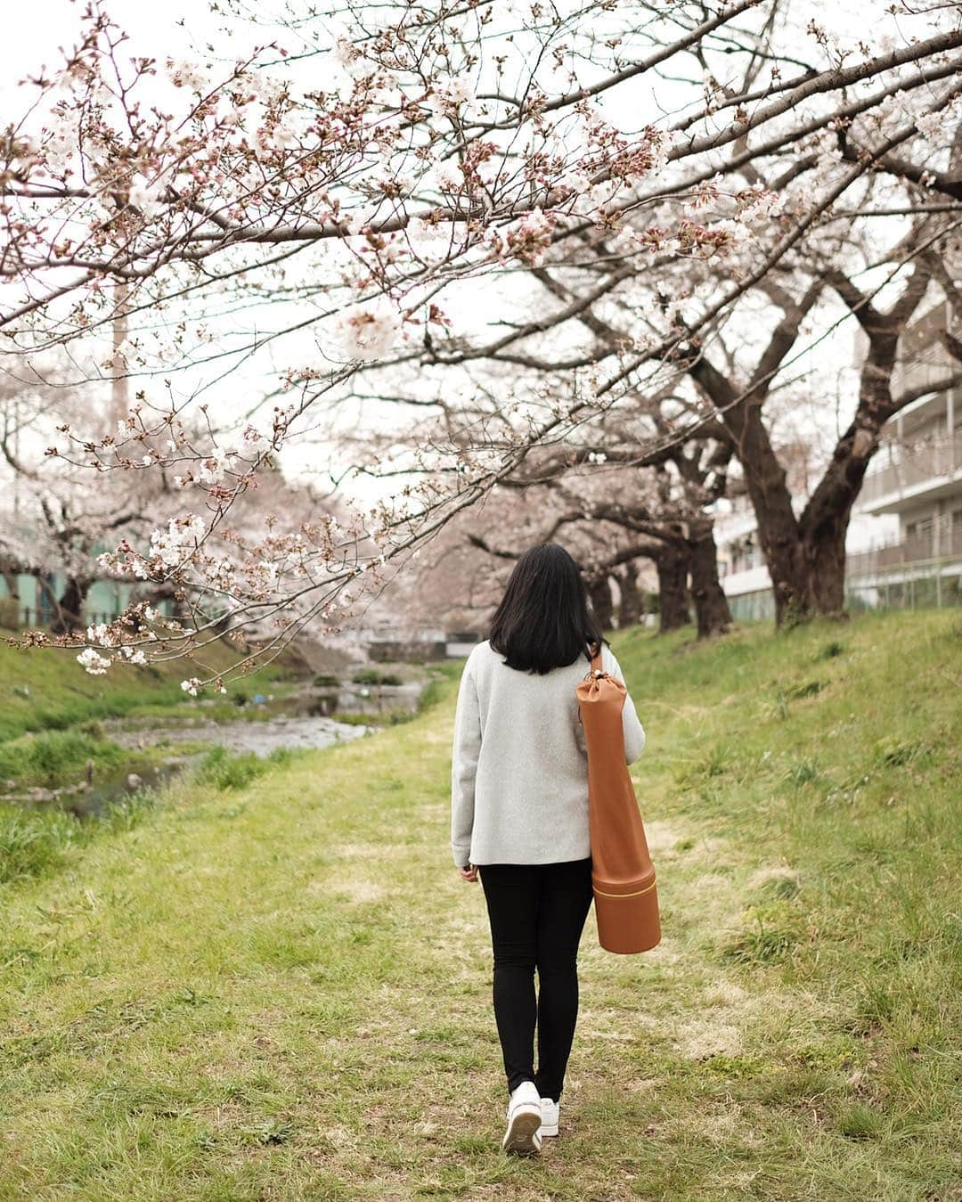 Veronica Halimさんのインスタグラム写真 - (Veronica HalimInstagram)「Going on a short holiday trip to Melbourne this week! Last time I was there was 10 years ago. Can’t wait to explore and reminisce about the good old days with @thinkofastar — Loving the styling kit from @layoutcollection, comes in a pretty tan leather carrier as seen in this photo. Pre-order yours! They are launching 8 April! — #weekend #weekendvibe #truffypi #truffypijournal #tuffypitravel #sakura #park #instapic #passionpassport #travelphotography #naaigram」4月6日 14時20分 - truffypi