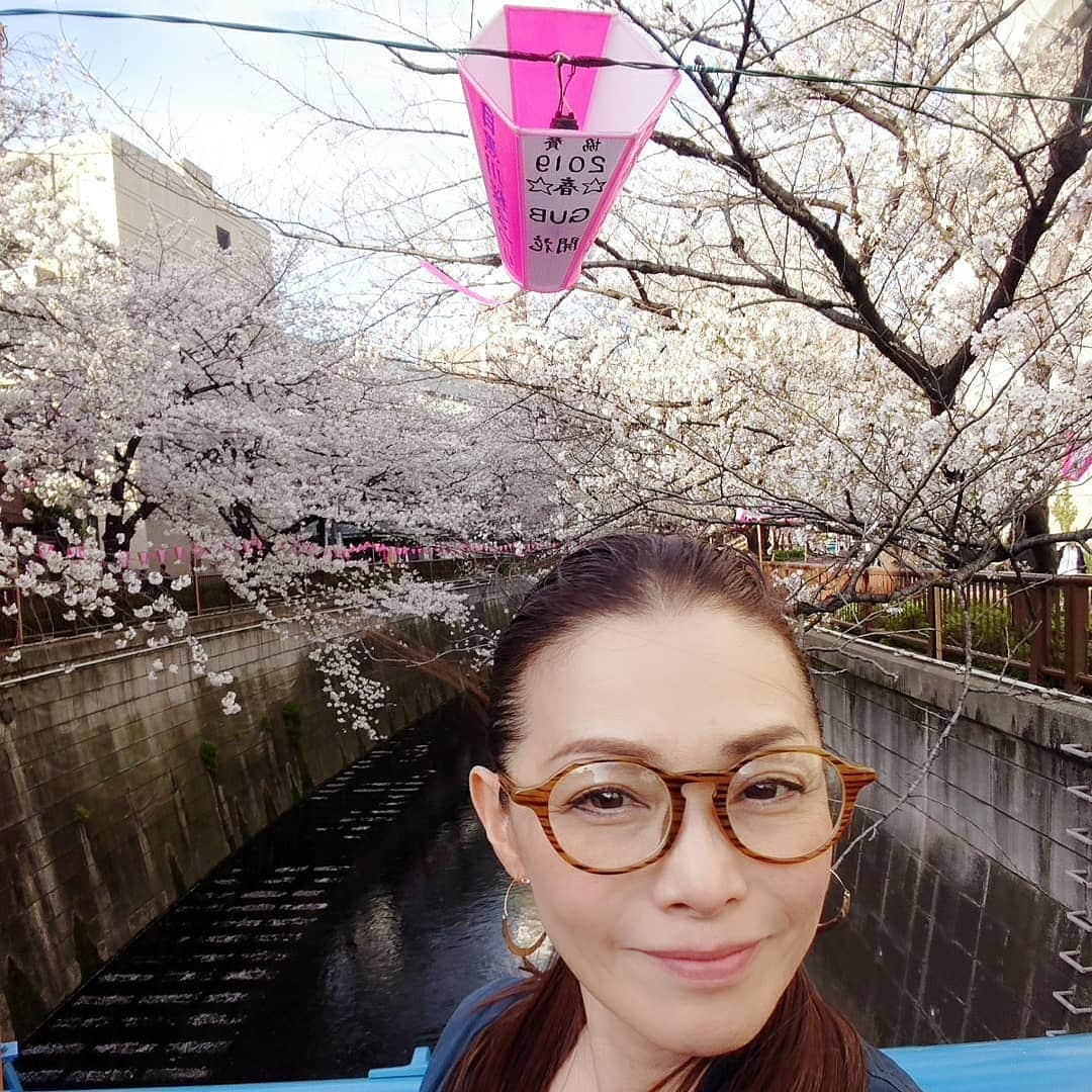 渡辺めぐみさんのインスタグラム写真 - (渡辺めぐみInstagram)「目黒川は、まだまだ桜がきれい🌸🌸🌸 まだ、間に合いますよ😁⤴️⤴️⤴️ 今日も、暖かい😁❇️❇️❇️😄 夜桜も綺麗‼️ #桜#さくら#目黒川#綺麗#ピンク#sakura#夜桜 #筋トレ#筋トレ女子#instagramjapan #instagramlike #instagramgood #instagram」4月6日 14時21分 - meguheart