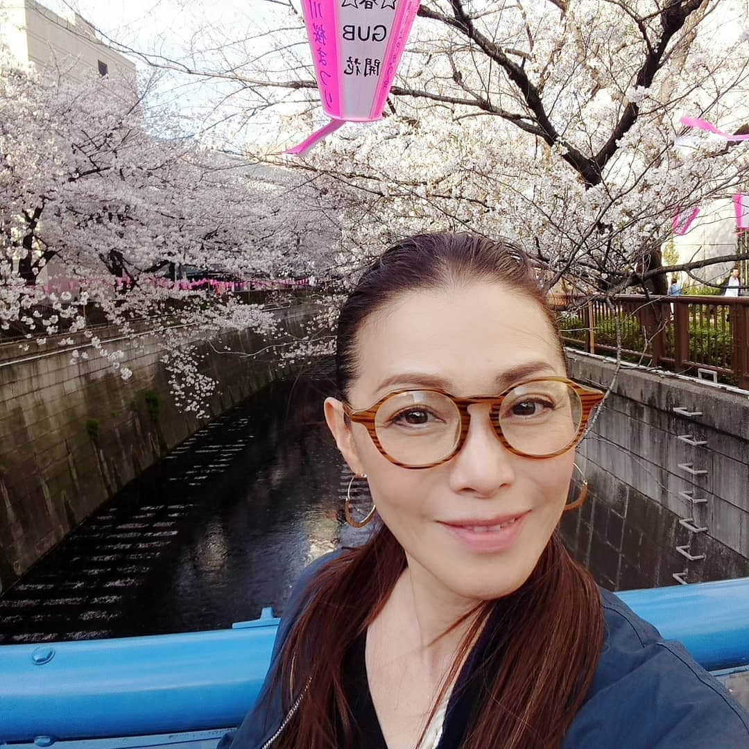 渡辺めぐみさんのインスタグラム写真 - (渡辺めぐみInstagram)「目黒川は、まだまだ桜がきれい🌸🌸🌸 まだ、間に合いますよ😁⤴️⤴️⤴️ 今日も、暖かい😁❇️❇️❇️😄 夜桜も綺麗‼️ #桜#さくら#目黒川#綺麗#ピンク#sakura#夜桜 #筋トレ#筋トレ女子#instagramjapan #instagramlike #instagramgood #instagram」4月6日 14時21分 - meguheart