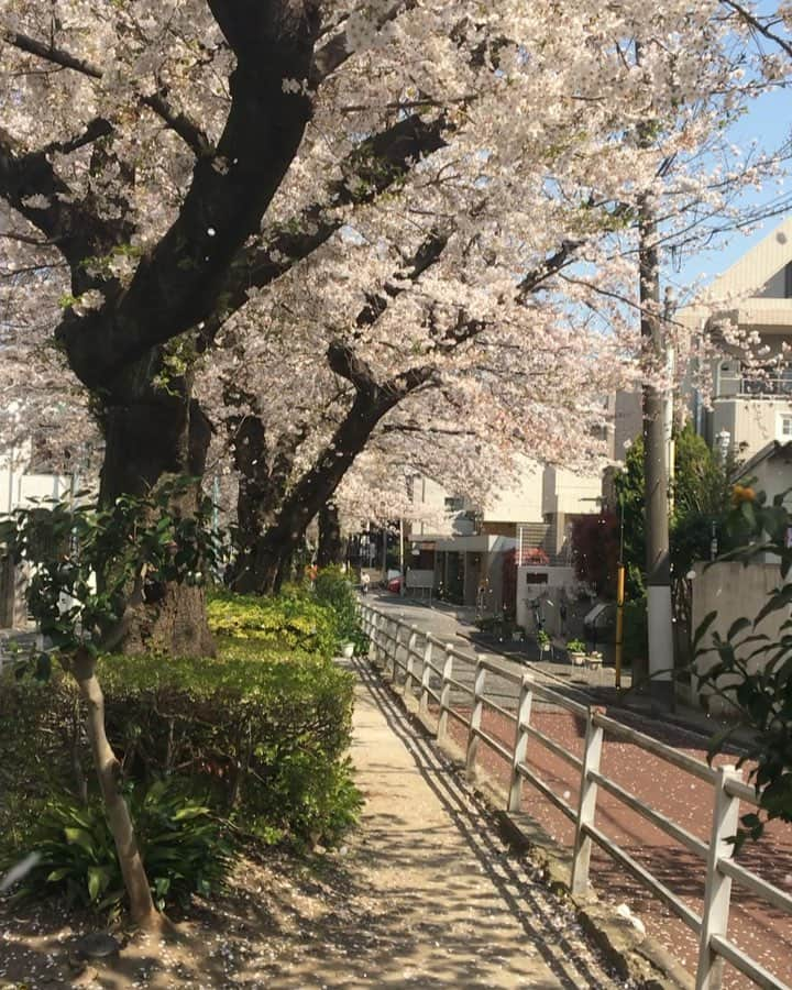 朝岡実嶺のインスタグラム