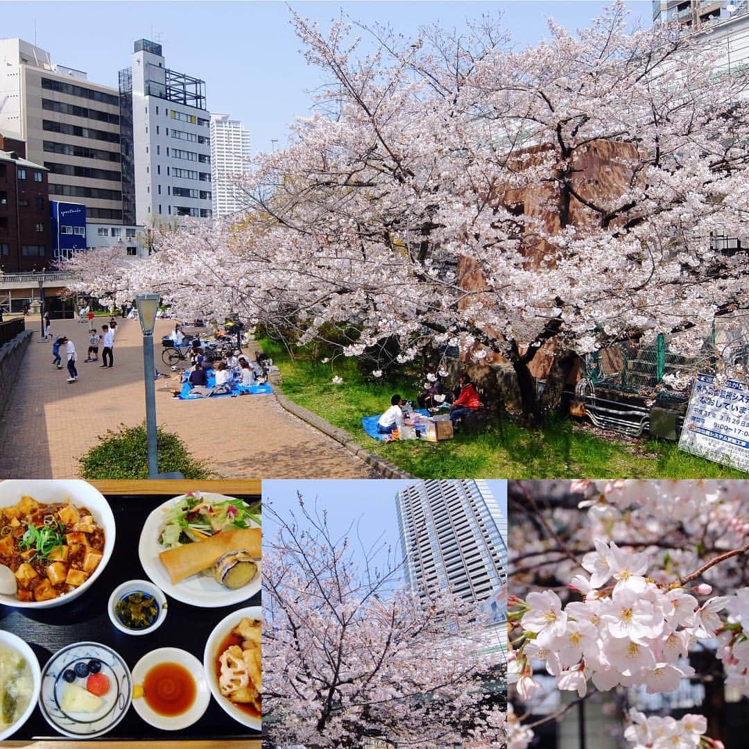 桂春雨さんのインスタグラム写真 - (桂春雨Instagram)「今日は久々に一日中オフなので、中華ダイニングぱんだでゆっくりランチの後、東横堀川高麗橋西詰の公園で桜を見て帰りました。これから昼寝します♪( ´θ｀) #ランチ #昼ごはん #中華 #麻婆丼 #花見 #桜 #東横堀川 #水門 #高麗橋 #flowers」4月6日 14時29分 - harusamek