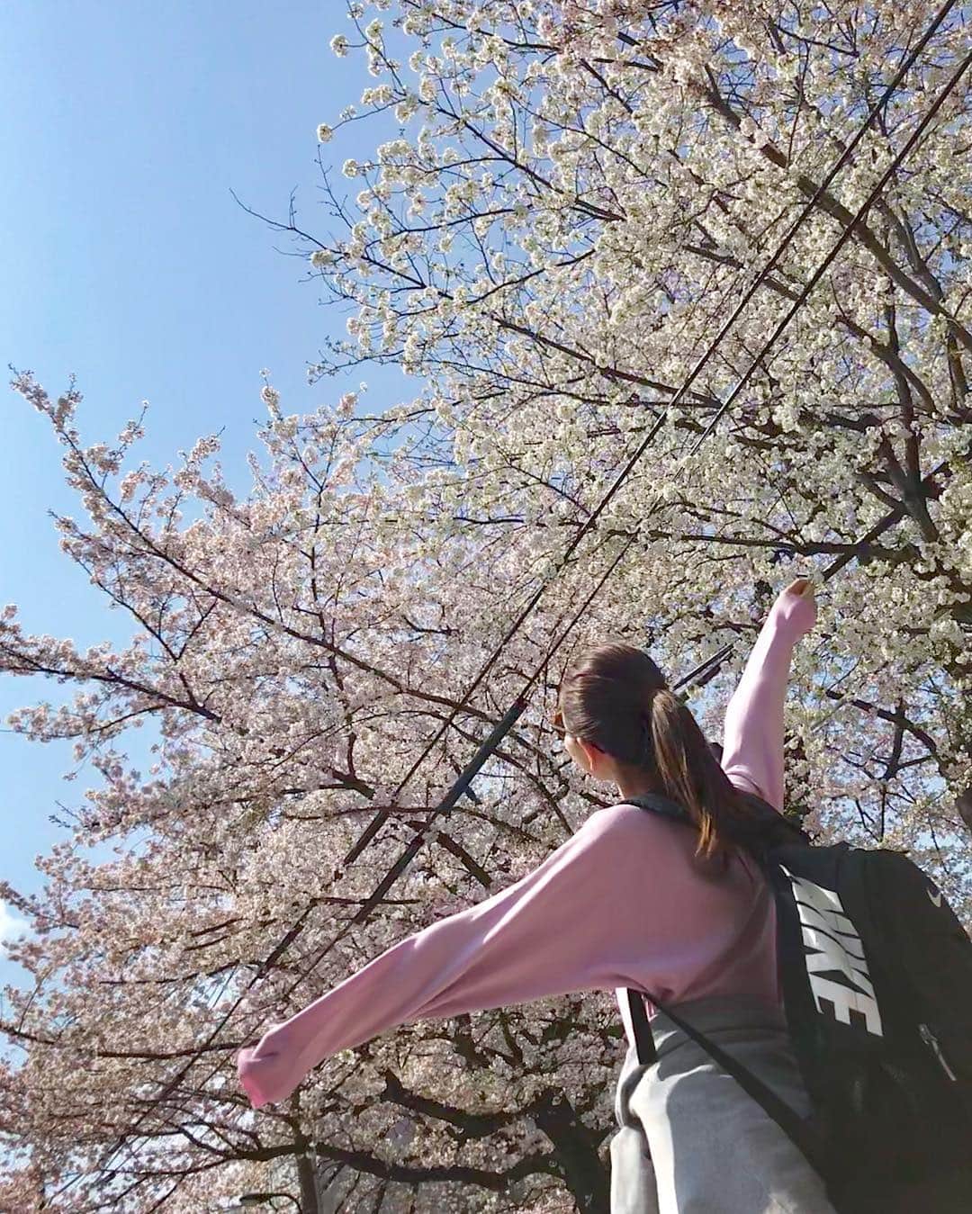大寺かおりさんのインスタグラム写真 - (大寺かおりInstagram)「春だぁー🌸😊💕☀️ #桜 #ジム帰り #寄り道 #疲れ吹き飛ぶ #るんるんるん」4月6日 14時33分 - kaori_ootera