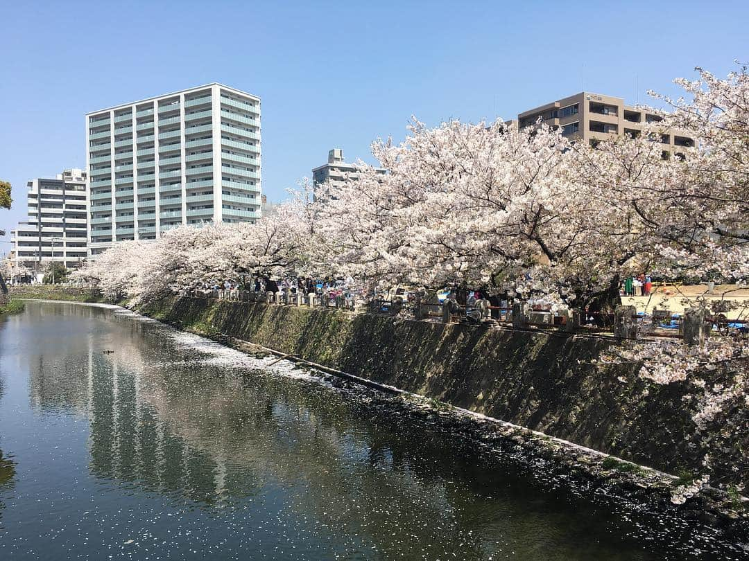 藤村晃輝さんのインスタグラム写真 - (藤村晃輝Instagram)「大分城址公園！桜満開🌸 きれいか〜！天気も良くて最&高です！ #お花見 #bbq」4月6日 14時34分 - fujimura_koki_tos