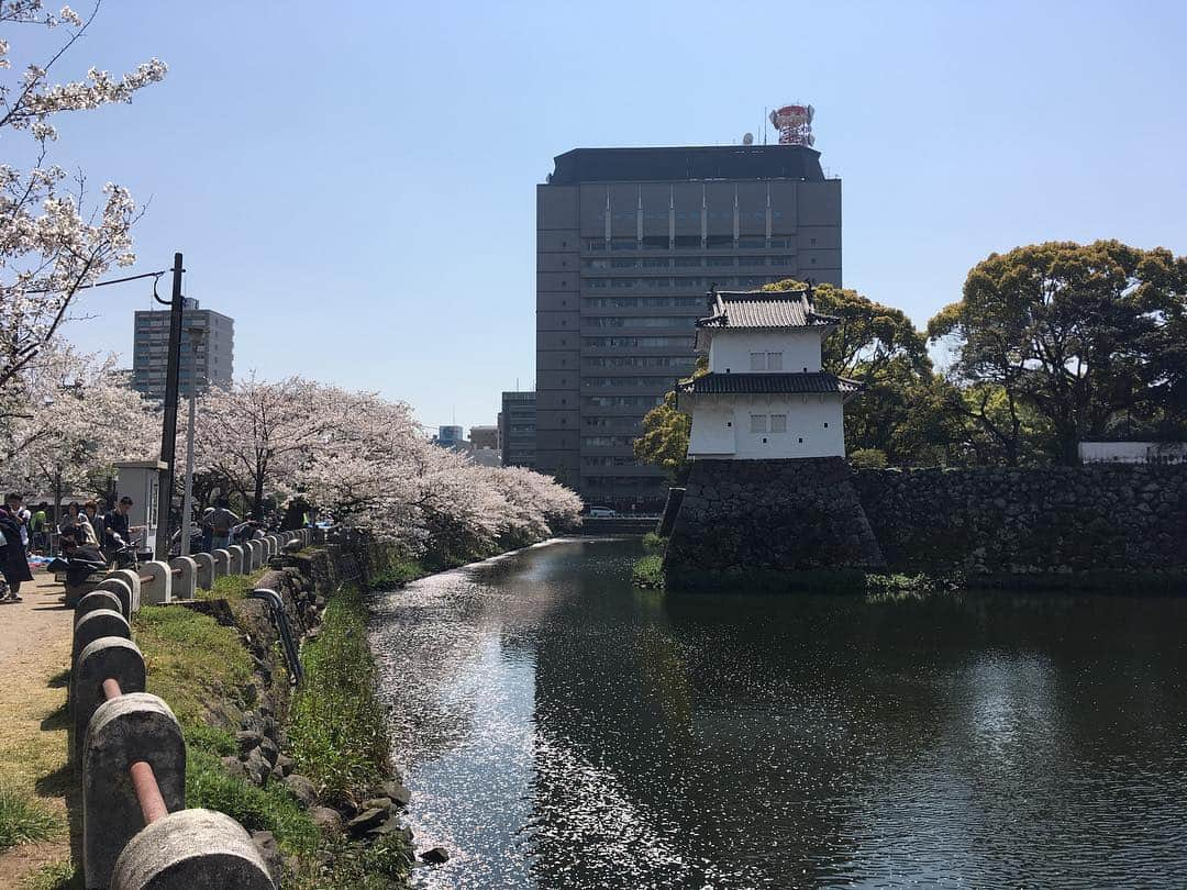 藤村晃輝さんのインスタグラム写真 - (藤村晃輝Instagram)「大分城址公園！桜満開🌸 きれいか〜！天気も良くて最&高です！ #お花見 #bbq」4月6日 14時34分 - fujimura_koki_tos