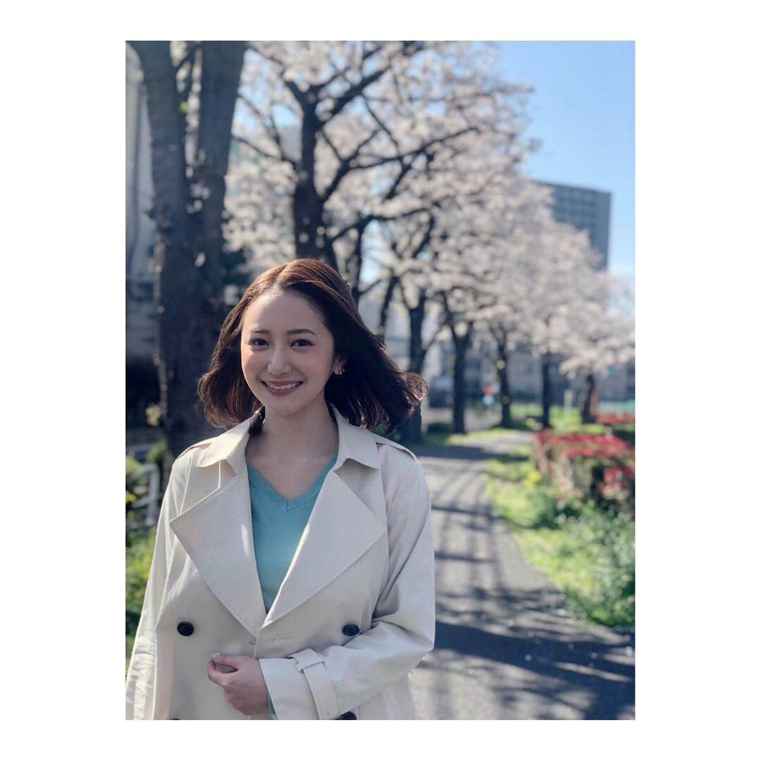 葉月ゆめさんのインスタグラム写真 - (葉月ゆめInstagram)「🌸🌸🌸 #桜 #お花見 #春 #撮影 #instapic #instalike #instagood #spring #followme #暖かくなってきて幸せ #ねむい」4月6日 14時53分 - yume_hazuki