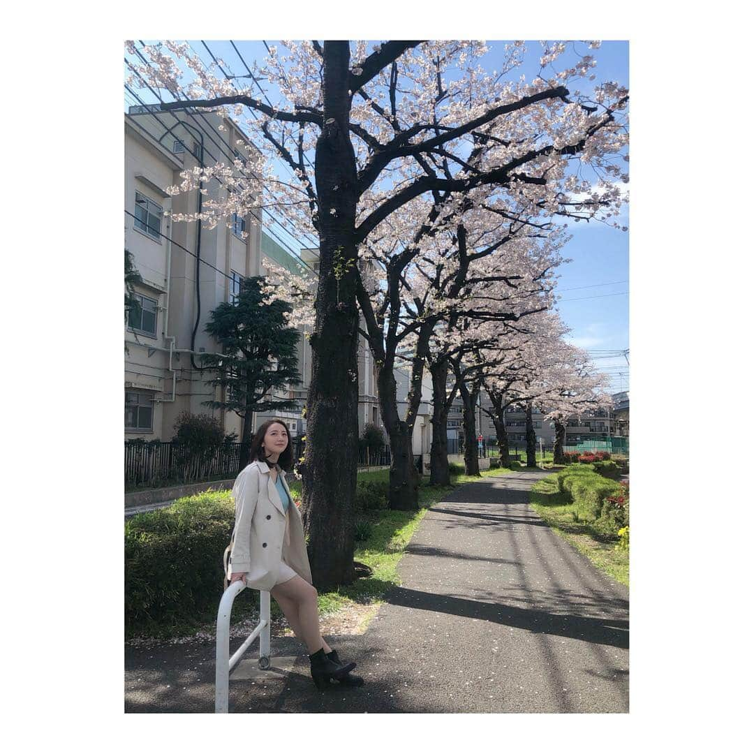 葉月ゆめさんのインスタグラム写真 - (葉月ゆめInstagram)「🌸🌸🌸 #桜 #お花見 #春 #撮影 #instapic #instalike #instagood #spring #followme #暖かくなってきて幸せ #ねむい」4月6日 14時53分 - yume_hazuki