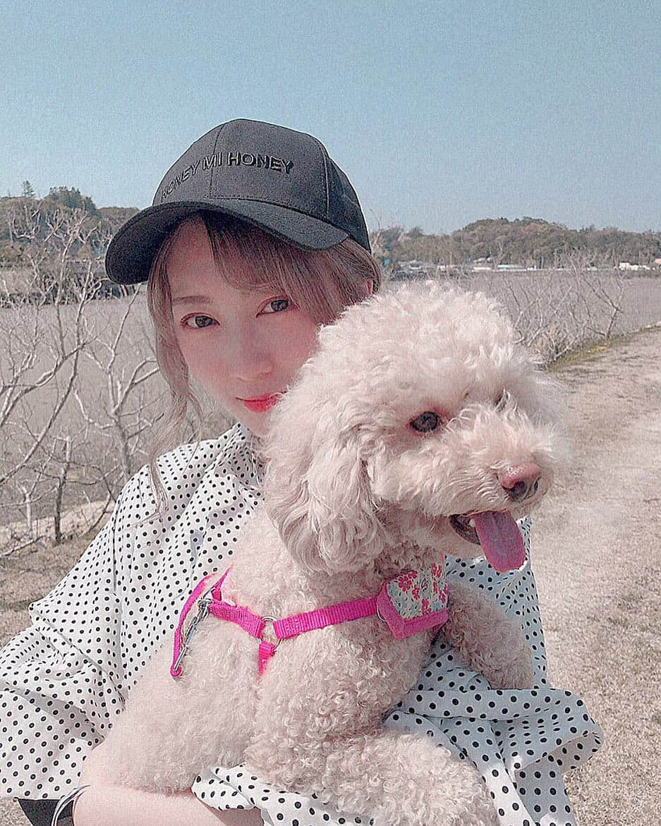 高辻千夏さんのインスタグラム写真 - (高辻千夏Instagram)「愛犬とわたし。﻿ ﻿ ﻿ 熊みたいだから TEDDYちゃん 🐻 です❤︎﻿ ﻿ ﻿ もうすぐ3才〜〜 いつまでもやんちゃなお嬢です。。笑﻿ ﻿ ﻿ ﻿ #愛犬 #トイプードル部 #犬スタグラム #トイプードル #プードル #犬 #犬好きさんと繋がりたい #犬なしでは生きていけません会 #데일리룩 #페션 #일상 #일본  #わんこ #puppy #dogstagram #멍스타그램 #개스타그램 #팔로우 #얼짱」4月6日 14時46分 - chinatsujk