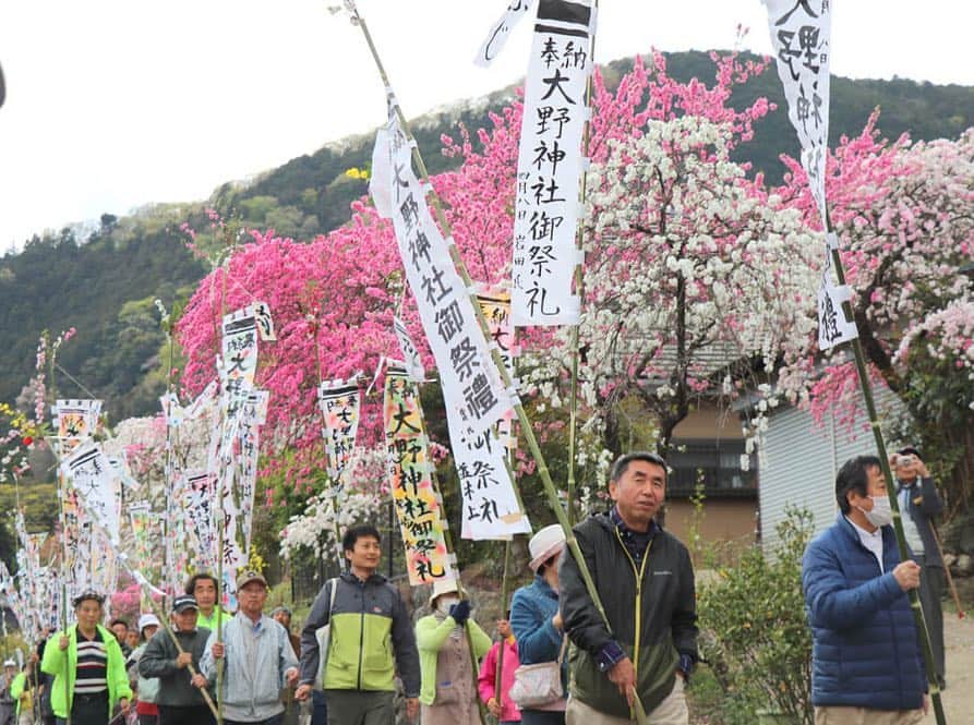 さいたまつりさんのインスタグラム写真 - (さいたまつりInstagram)「4月14日（日）ときがわ町で「大野の送神祭」が行われます！ツツジや花桃など春の花と、青空を背景に立ち並ぶ小旗のコントラストは最高ですよ♫ #さいたまつり #春 #花 #花見 #埼玉 #saitamatsuri #spring #お祭り #写真好きな人と繋がりたい #ファインダー越しの私の世界 #お祭り写真 #お祭り写真部 #カメラ女子 #大野の送神祭 #ツツジ #花見日和」4月6日 14時47分 - saitamatsuri