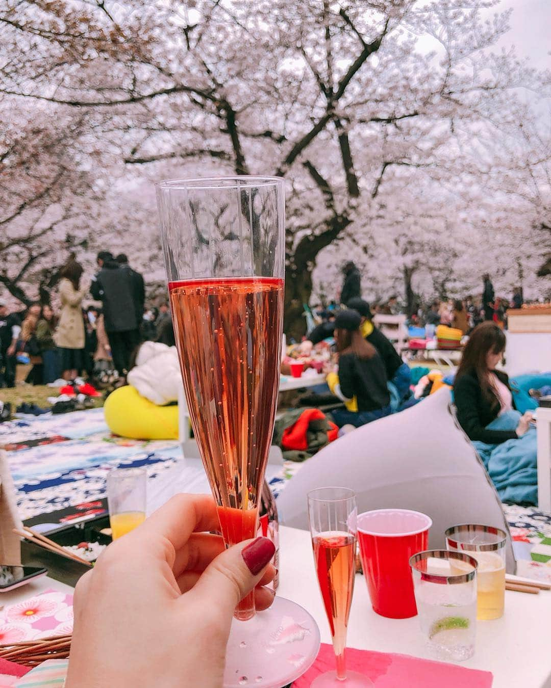 かにゃさんのインスタグラム写真 - (かにゃInstagram)「先週お花見した時の🌸🥂✨ まったりお酒飲んだりカニ食べたり🦀 楽しかったな〜☺️🎶 . . #お花見 #花見 #桜 #春 #さくら #代々木公園 #東京 #日本 #女子会 #お花見🌸 #桜🌸 #さくら🌸 #🌸 #楽しかった #綺麗 #sakura #sakura🌸 #cherryblossom #cherryblossoms #spring #hanami #beautiful #tokyo #japan #japanesegirl #japanesegirls #yoyogipark」4月6日 14時48分 - kanya_435