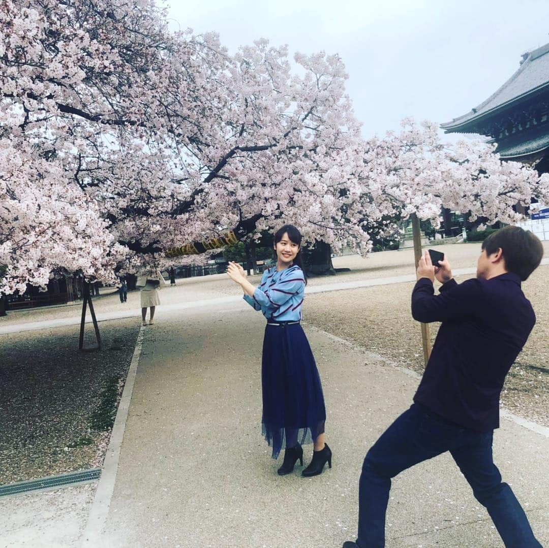 濱口優さんのインスタグラム写真 - (濱口優Instagram)「#メーテレ #デルサタ  #デルサタ11 #東別院 #桜 #撮影会」4月6日 14時49分 - hamaguchi_masaru