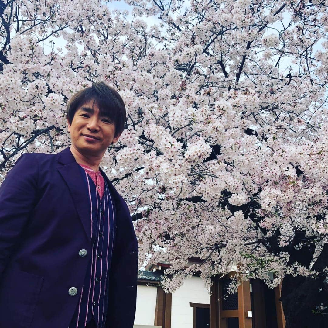 濱口優さんのインスタグラム写真 - (濱口優Instagram)「#メーテレ #デルサタ  #デルサタ11 #東別院 #桜 #撮影会」4月6日 14時49分 - hamaguchi_masaru