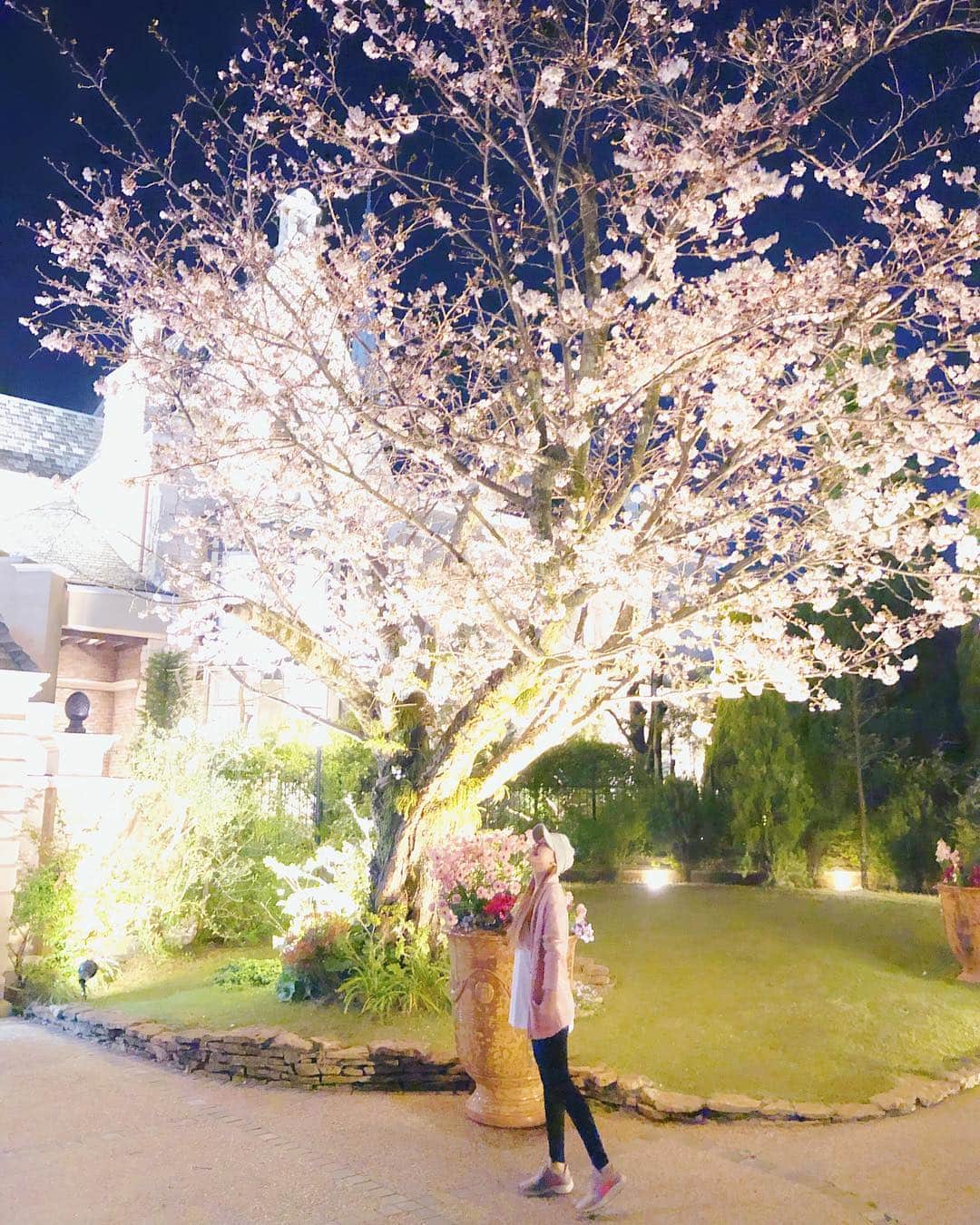 桃華絵里さんのインスタグラム写真 - (桃華絵里Instagram)「夜桜を探しながらのウォーキングが楽しい  今日この頃🚶‍♀️🌸 ・ ・ #桜 #夜桜 #ウォーキング  #walking #🌸 #sakura #love  #happyness」4月6日 14時57分 - _momoka828_