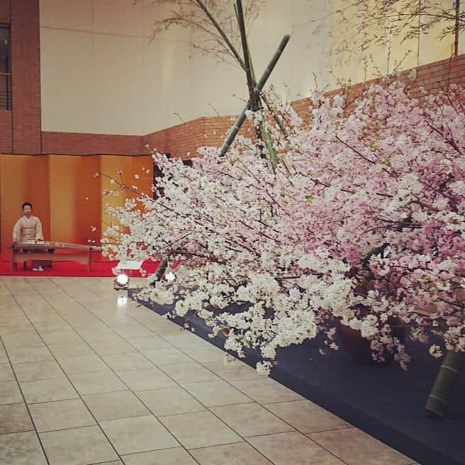 中島静佳さんのインスタグラム写真 - (中島静佳Instagram)「#六歳の息子 の#入学式#桜満開 の中この日を迎えられてとっても晴れやかな、華やかな気持ちになりました。これまで息子を温かく見守って下さった方々に#感謝の気持ち でいっぱいです。」4月7日 1時55分 - shizuka617nakajima