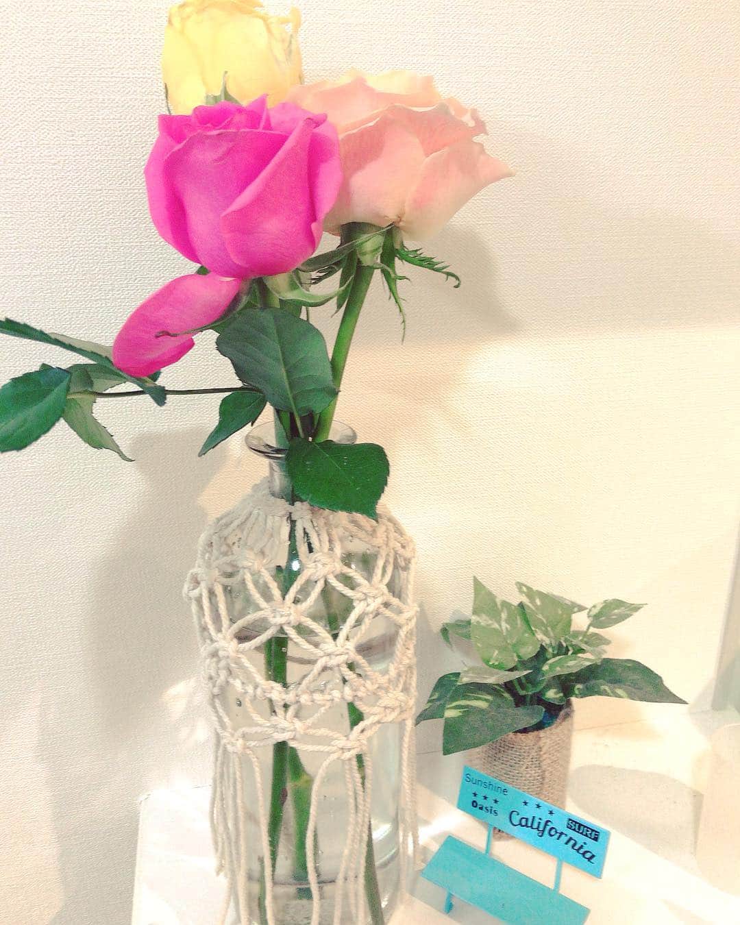 星野奏さんのインスタグラム写真 - (星野奏Instagram)「昨日、花束を💐頂いたので、 状態の良いものを厳選して 久しぶりに花瓶に花を挿してみました⭐️ せっかく可愛い薔薇なのに、うちにある花瓶が西海岸？風すぎてミスマッチかもです（笑） 花言葉を調べてみましたぁ！！！薔薇もガーベラも色によって意味が違うんですよね〜 ちなみに私の愛する、白百合(ユリ)の花言葉は「純潔」「威厳」だそうです！！🤣💐 . . #花束 #薔薇 #花言葉 #生花 #三輪挿し #flower」4月7日 0時37分 - hoshino_kanade_