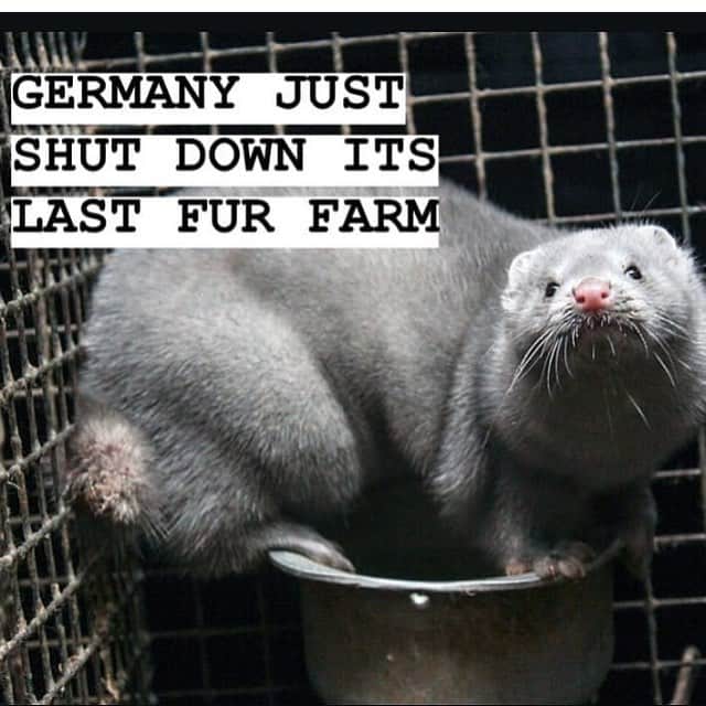 モービーさんのインスタグラム写真 - (モービーInstagram)「Thank you, Germany. Fur is cruel, disgusting, and should only be worn by the animal who was born with it. @rob__banks @garyyourofsky」4月7日 0時56分 - moby