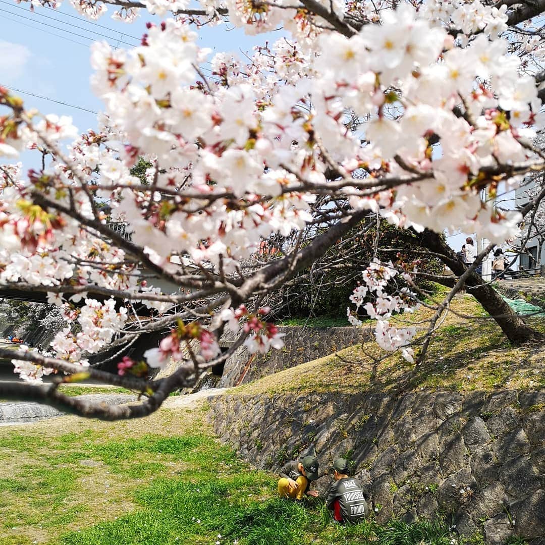 中島彩さんのインスタグラム写真 - (中島彩Instagram)「この時期は、毎日お花見❤️がてら  公園遊びやお散歩...💕 気持ちのいい季節❤️ あと少しの間、思いっきり満喫しなきゃ😍  #お花見　#桜　#夙川　#夙川河川敷緑地  #夜桜」4月7日 1時04分 - aya.n.aya