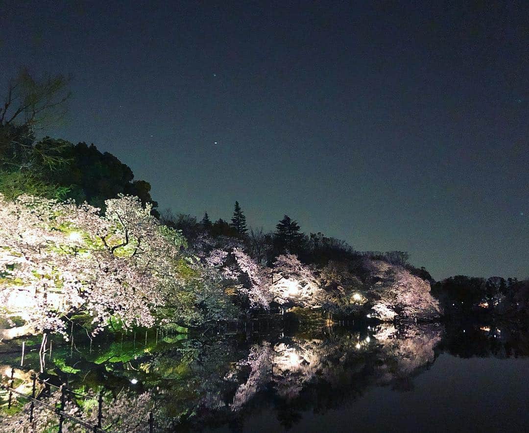 水月さくらさんのインスタグラム写真 - (水月さくらInstagram)「水面に映る桜を観るのが大好きで、 今回の井の頭恩賜公園も綺麗だったけれど 人生で一番綺麗だと思ったのは「桜の名所100選」にも選ばれている 長野県にある#臥竜公園 ✨の桜が一番好き🌸 何度も行ったけれど、思わず息を呑む程の美しさ。。 . 機会があれば是非行ってみてください🥰💓」4月7日 1時00分 - 00_33_30