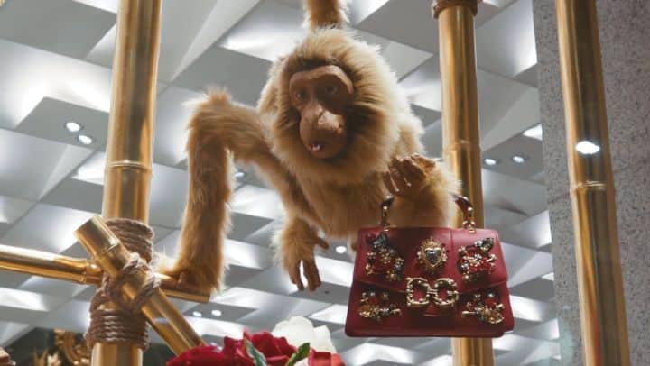 のインスタグラム：「Discover the making of the new display in the via Montenapoleone boutique, Milan. Animated monkeys help display the new collections.  #DGFattoAMano」