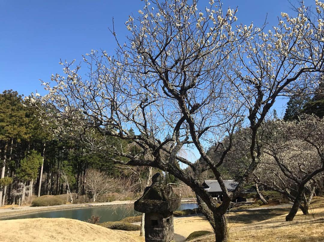 児玉美保さんのインスタグラム写真 - (児玉美保Instagram)「日本武尊(ヤマトタケルノミコト)を祀る古峯神社へ。  別名「天狗の社」とも言われ、ご祭神の使者である天狗を信仰する人々から、心願成就の暁に奉納されたという天狗があちこちに。  さらに！なんとこちらでは御朱印にも天狗を描いて頂け、その絵は14パターンもあるそう！  混み合う週末はどれを描いて頂けるかはお任せになるものの、30分ほどで見事な天狗様を描いて頂けます。 ありがたい！！ 500ヘクタールある境内の敷地には回遊式日本庭園「古峯園」があるので、御朱印を待つ間のんびり散策できて、とっても癒されました♪  日光東照宮も良いけど、こちらもパワースポットですぞ！  #栃木 #古峯神社 #天狗の社 #天狗 #御朱印 #パワースポット #神社仏閣 #北関東 #古峯ヶ原」4月7日 1時12分 - miho_kodama_