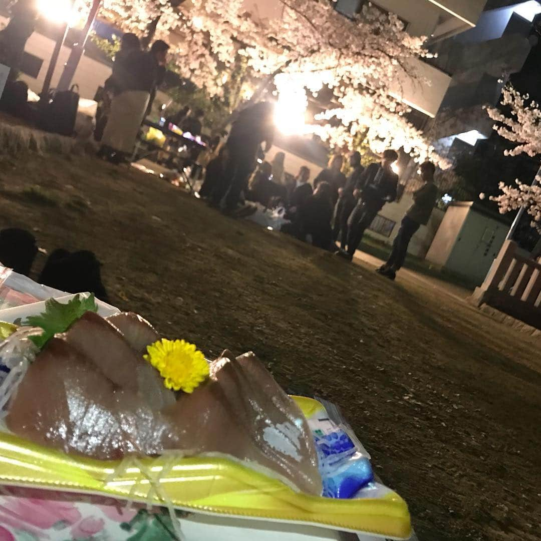 森田展義さんのインスタグラム写真 - (森田展義Instagram)「中央区にある 『高津神社』なる処で 『夜桜』なるものを愛でながら 『天然ハマチのお造り』なるものを食す！  #なる処 #なるもの食し  #nobmorley #森田展義 #高津神社 #天然はまち #絶品なるもの」4月7日 1時21分 - nobmorley