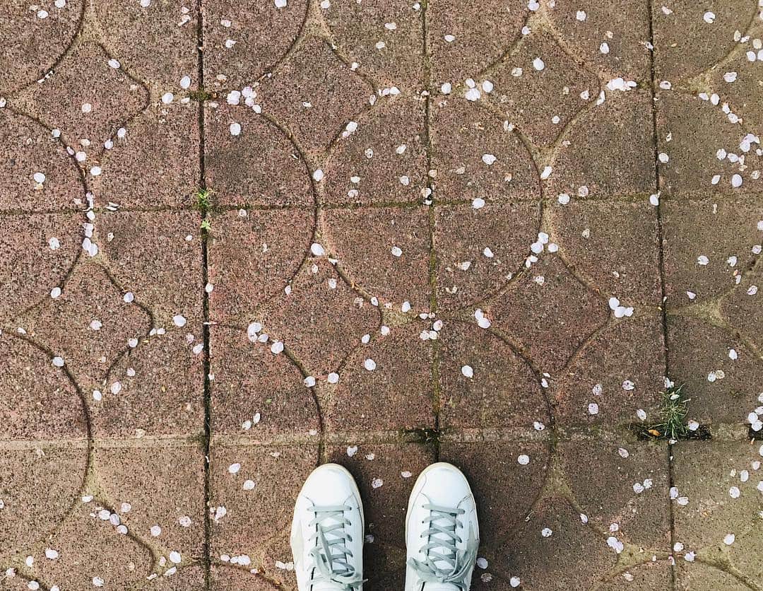 古屋敷沙耶さんのインスタグラム写真 - (古屋敷沙耶Instagram)「本当はヒールの靴より、断然スニーカー派☺︎ . . . #スニーカー#スニーカー派 #スニーカー大好き#スニーカー女子 #ゴールデングース#ゴールデングーススニーカー #goldengoose#goldengoosesneakers  #GGDB#ggdbsneakers  #ハワイで購入#日本よりちょっと安かったので笑 #ビンテージ加工#ビンテージ風 #お気に入り#お花見もこの靴で」4月6日 16時58分 - mrt.furuyashiki