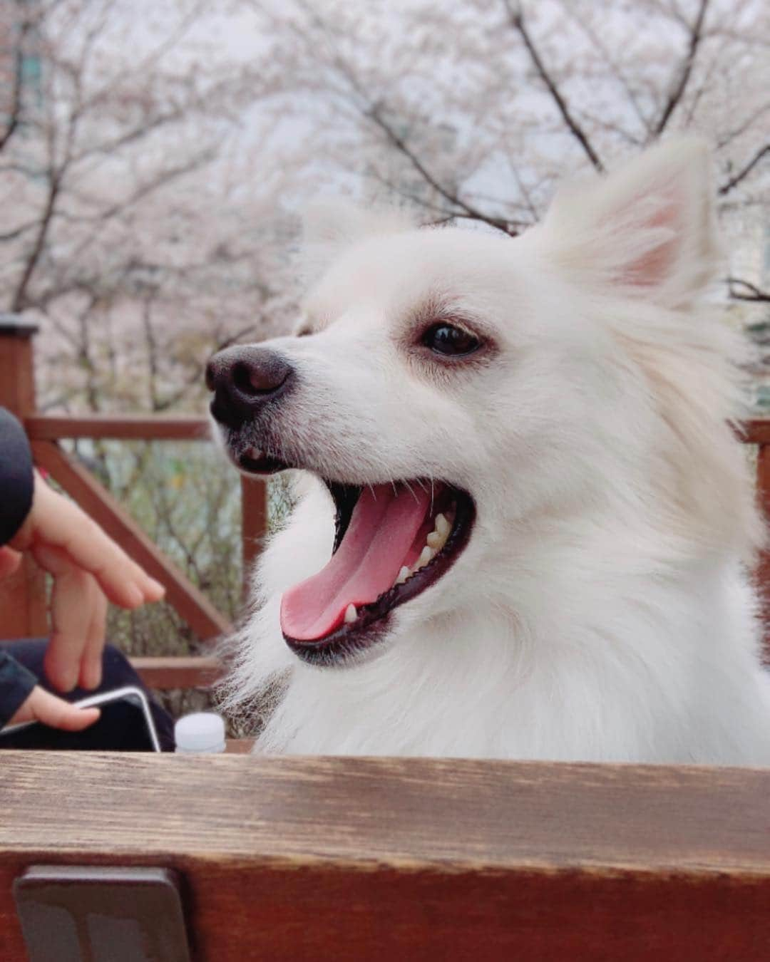 パク・ソダムさんのインスタグラム写真 - (パク・ソダムInstagram)「비내리기 직전!! 🌦」4月6日 17時09分 - imsodamm