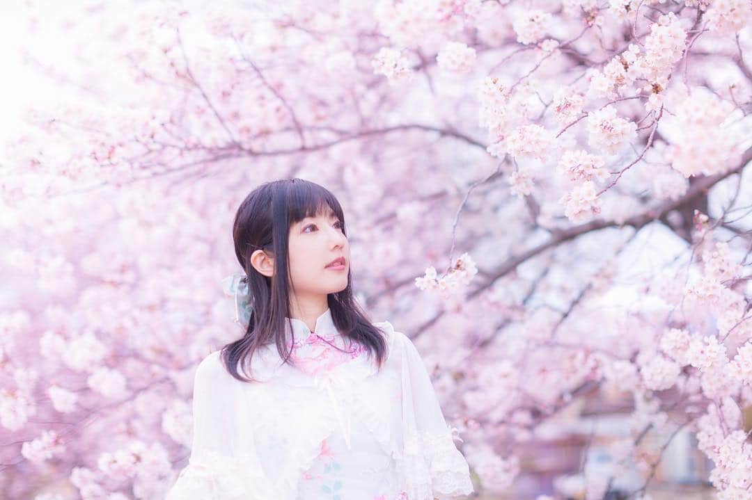 渚のインスタグラム：「今日明日は東京では花見日和🌸 とっても天気も良くて、私もまたお花見行きたい〜❤️ #cherryblossom #portrait #花見 #桜 #ポートレート #lolita #instagood #instafashion」