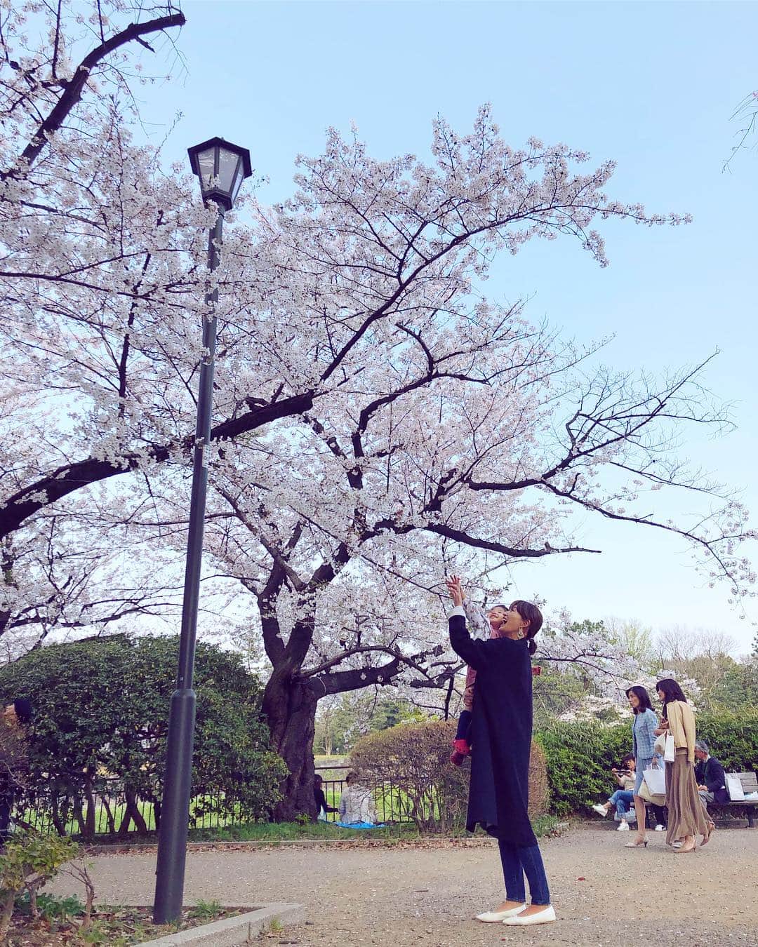 廣瀬規子さんのインスタグラム写真 - (廣瀬規子Instagram)「休日。良いお天気☀️ 急遽、あり物で作ったお弁当🍱持って、お花見へ🌸 * 満開からの花吹雪も見れて。。。 お嬢も大満喫した様子でした😊 * #桜 #お花見 #🌸 #sakura #sakura🌸  #2歳 #女の子 #お花大好き」4月6日 17時21分 - noriko_style
