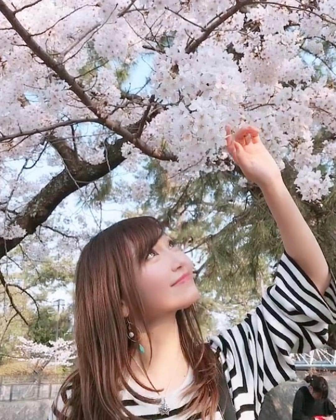 開高明日香さんのインスタグラム写真 - (開高明日香Instagram)「青空を彩る満開の桜たち🌸 #夙川 #桜」4月6日 17時30分 - asukakaiko