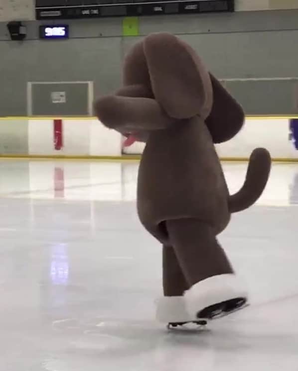 ユーリ!!! on ICEのインスタグラム：「【🔥ユーリ!!! on ICE  #国別対抗戦2019 全力応援🔥】 マッカチン、いざ氷の上へ･･･‼️‼️ #マッカチン練習中 ⛸ #yurionice #マッカチンオンアイス https://yurionice.com/news/detail.php?id=1071588」