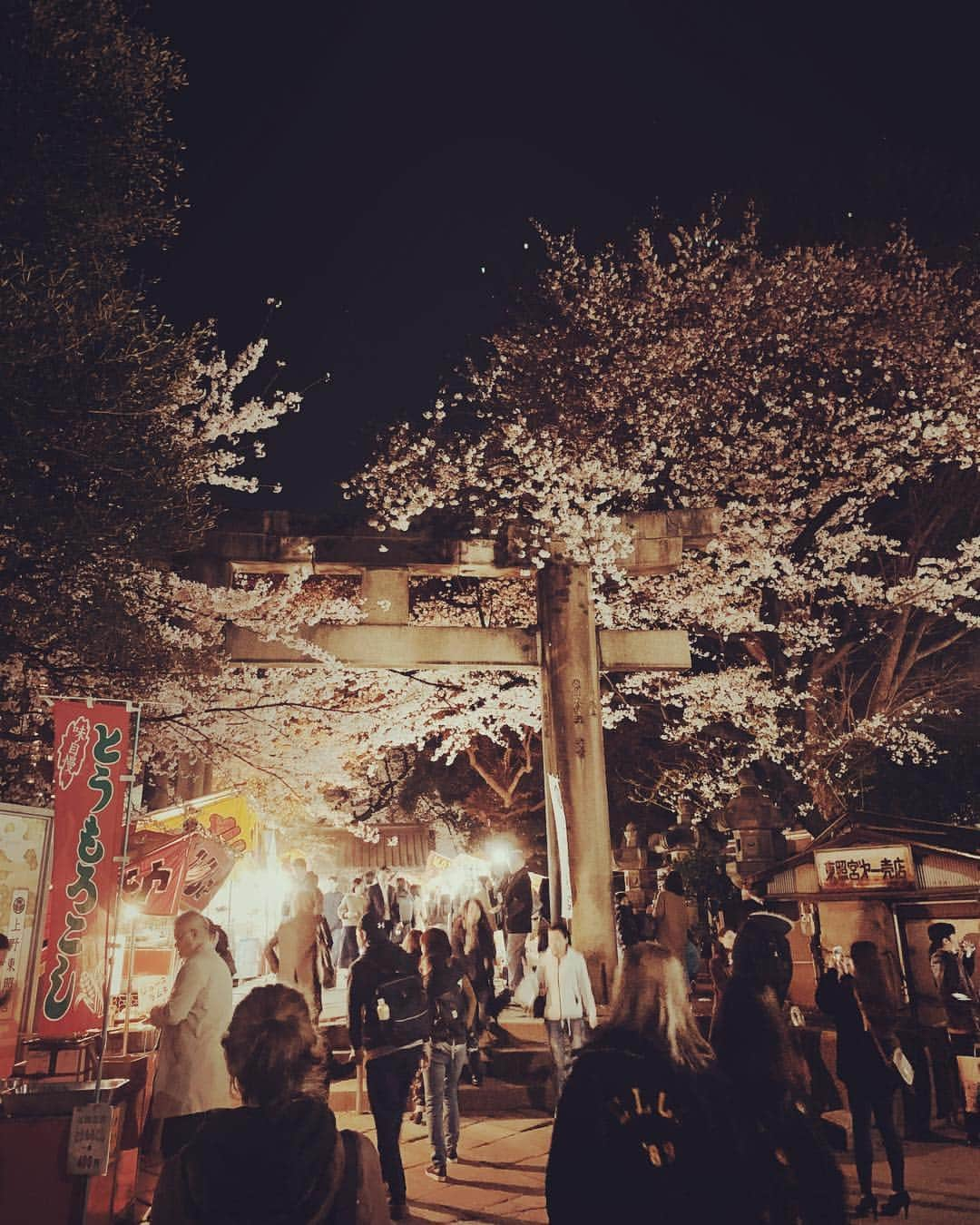 HAYATOさんのインスタグラム写真 - (HAYATOInstagram)「#BRIDGET  #HAYATO  #japan  #上野  #東京  #桜  #花見  #夜桜  #風流  #happy  #smile  #beautiful  #景色  #風景  #カメラ  #写真  #shooting  #followme  #instalike  #instagood  #tagsforlikes  #grateful  #life  #loveandpeace  #simpleisbest」4月6日 17時44分 - bridget_hayato