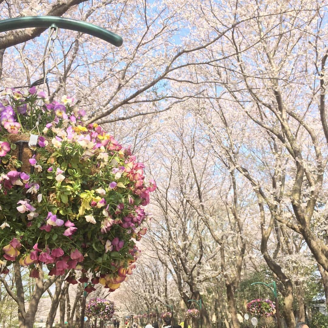 潮田玲子さんのインスタグラム写真 - (潮田玲子Instagram)「今日で春休みも終了〜 長男は来週から幼稚園へ。 新居へ引っ越しもしてなにかと慌ただしいこの春。 新たな出会い、新たな世界を楽しんでほしいなーと思いつつきっと不安なのは本人よりも親心？！😅 #春休み #新生活スタート #慌ただしい #楽しんでいこう #写真は娘」4月6日 17時49分 - reikoshiota_official