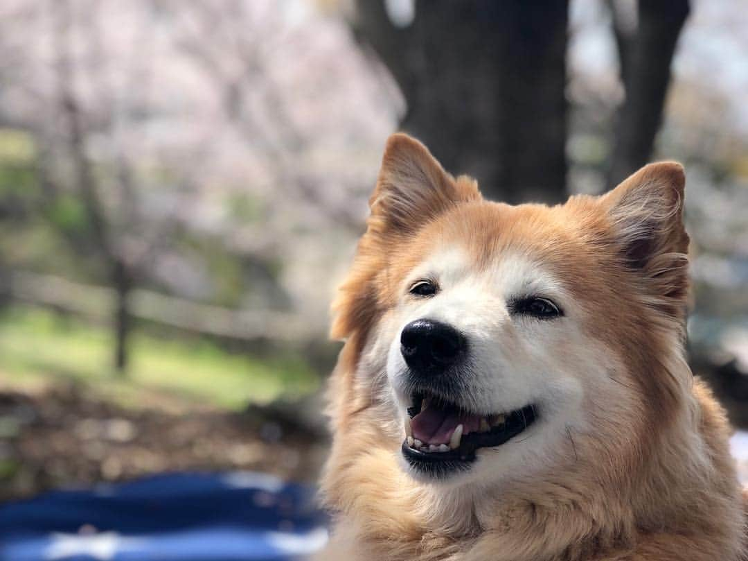 早霧せいなのインスタグラム