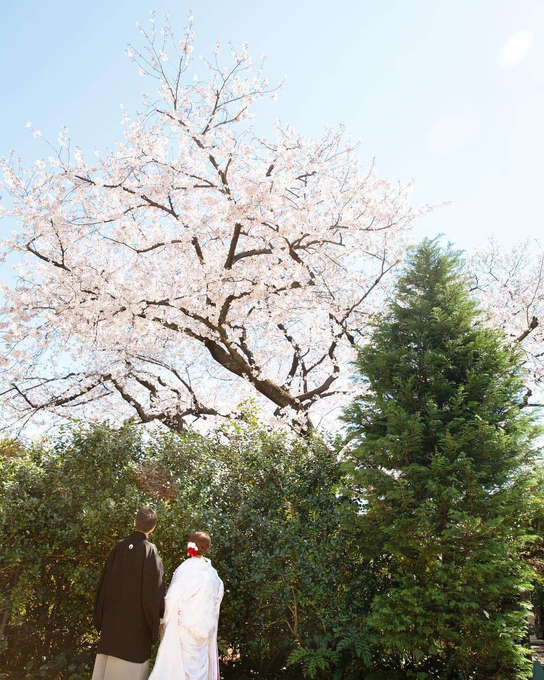 ラクラリエールのグルメインスタ