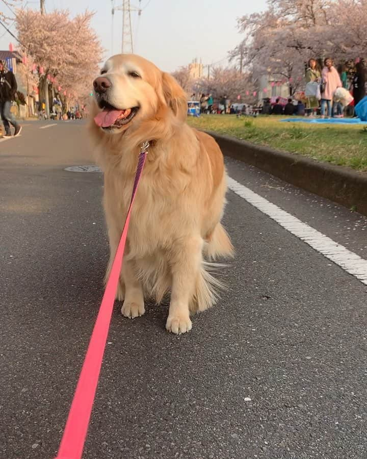 まゆみのインスタグラム