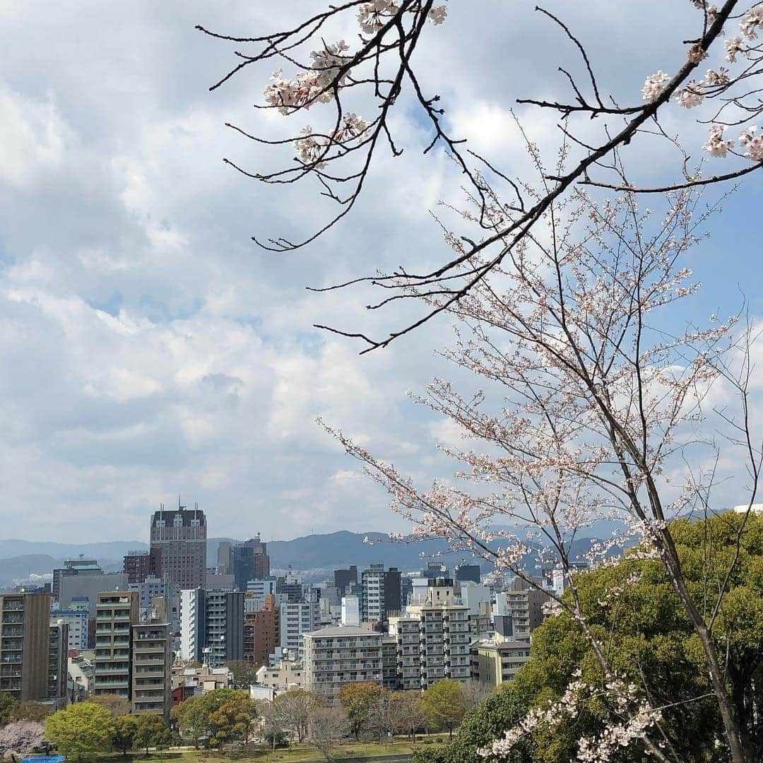 ホテル宮島別荘さんのインスタグラム写真 - (ホテル宮島別荘Instagram)「ホテル宮島別荘の上田です。 先日、広島県にございます比治山公園にお花見に行ってきました！ その日はまだ満開ではありませんでしたがとても綺麗でお花見を楽しめました🌸 #広島#宮島#比治山公園#お花見#ホテル宮島別荘#宮島別荘」4月6日 18時31分 - _miyajima_villa